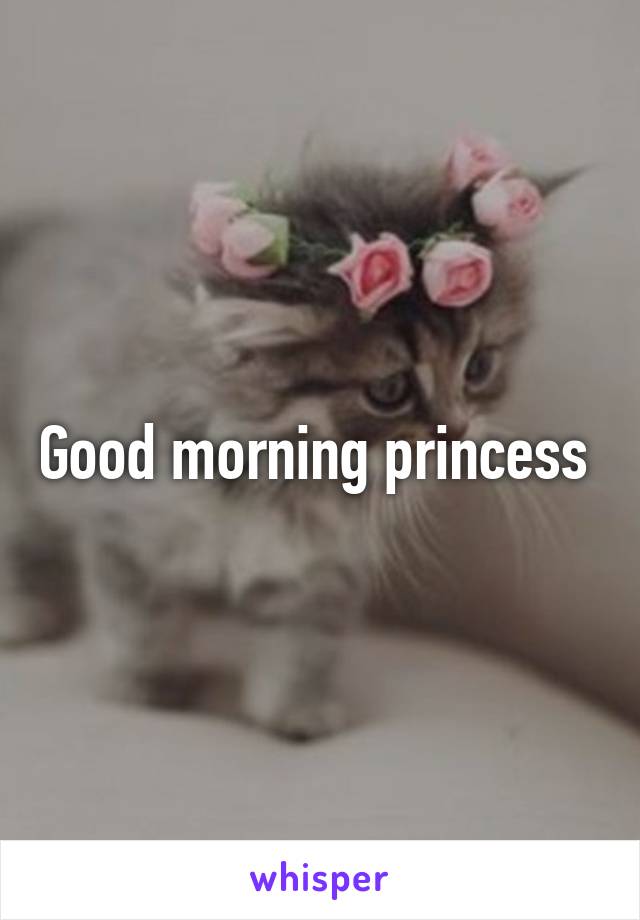 Good morning princess 