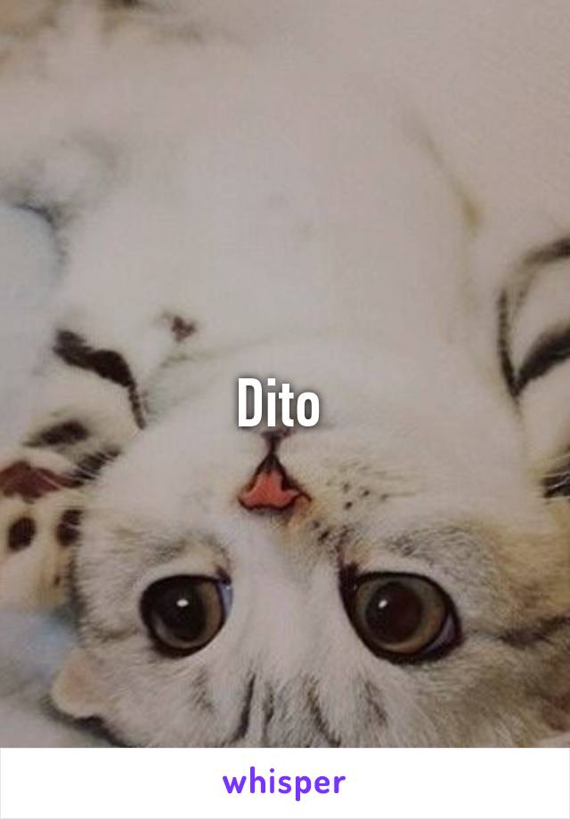 Dito 