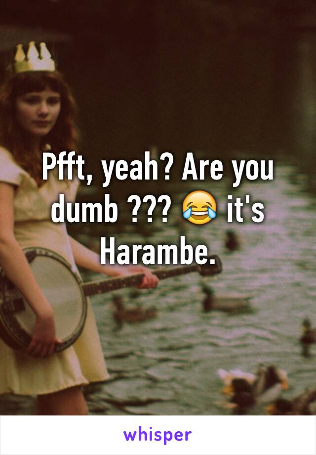 Pfft, yeah? Are you dumb ??? 😂 it's Harambe. 