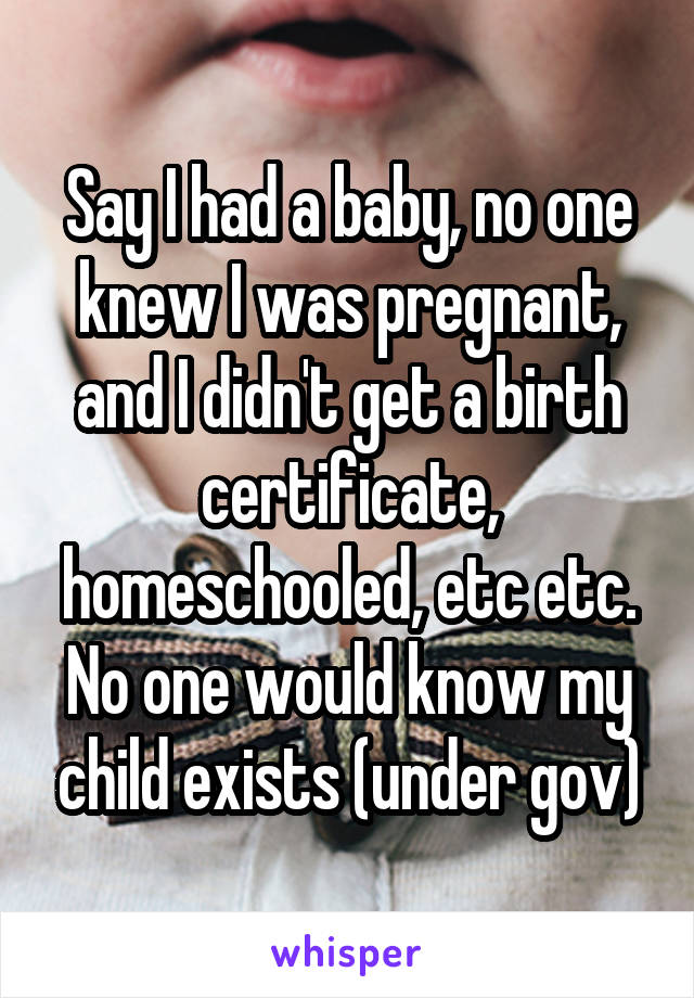 Say I had a baby, no one knew I was pregnant, and I didn't get a birth certificate, homeschooled, etc etc. No one would know my child exists (under gov)