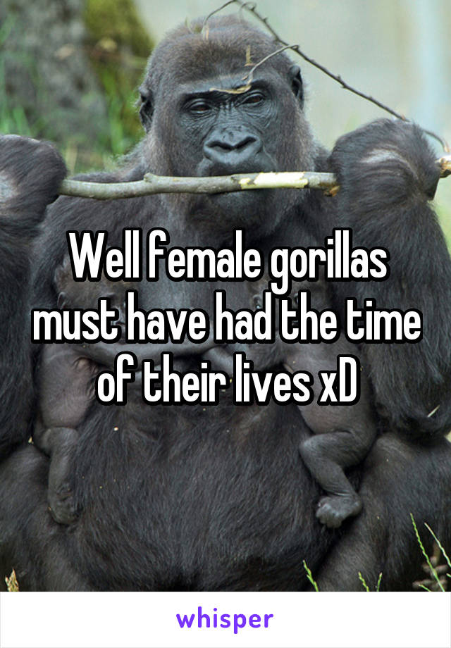 Well female gorillas must have had the time of their lives xD