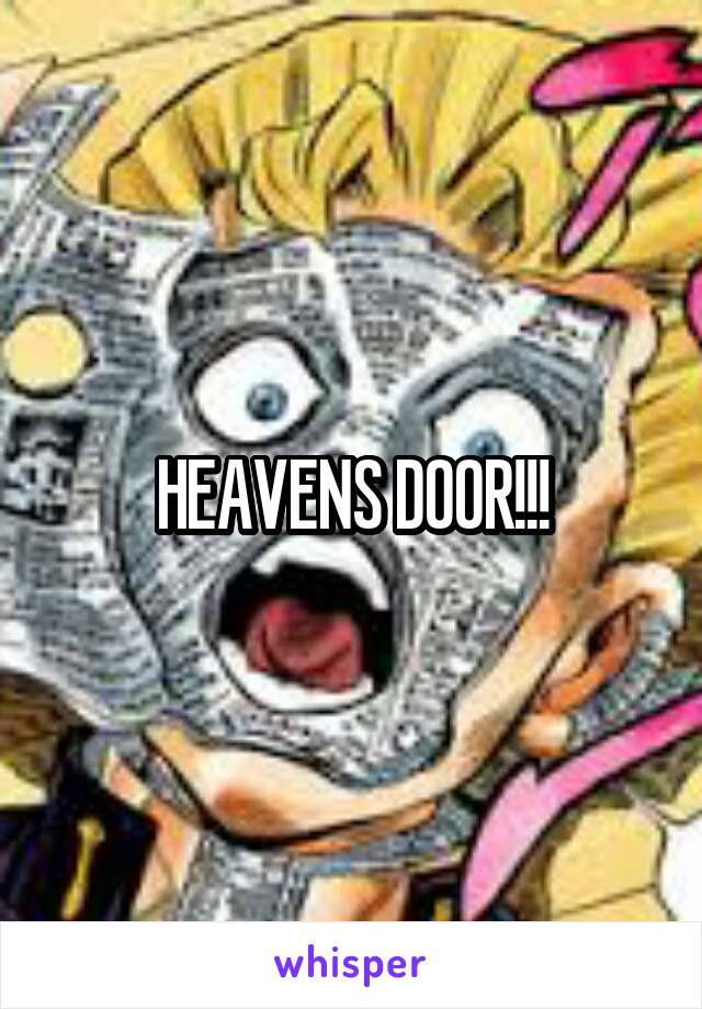 HEAVENS DOOR!!!