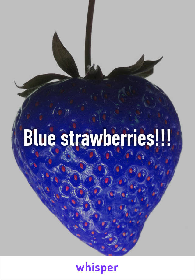 Blue strawberries!!!