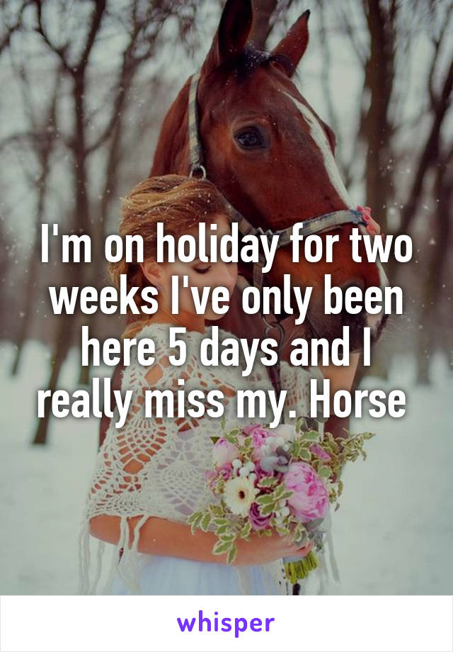 I'm on holiday for two weeks I've only been here 5 days and I really miss my. Horse 
