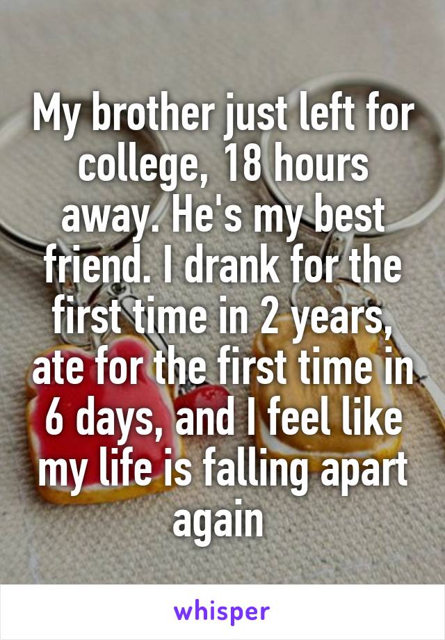 My brother just left for college, 18 hours away. He's my best friend. I drank for the first time in 2 years, ate for the first time in 6 days, and I feel like my life is falling apart again 