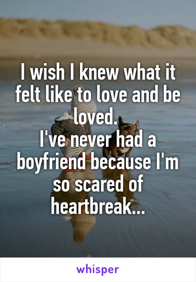 I wish I knew what it felt like to love and be loved. 
I've never had a boyfriend because I'm so scared of heartbreak...