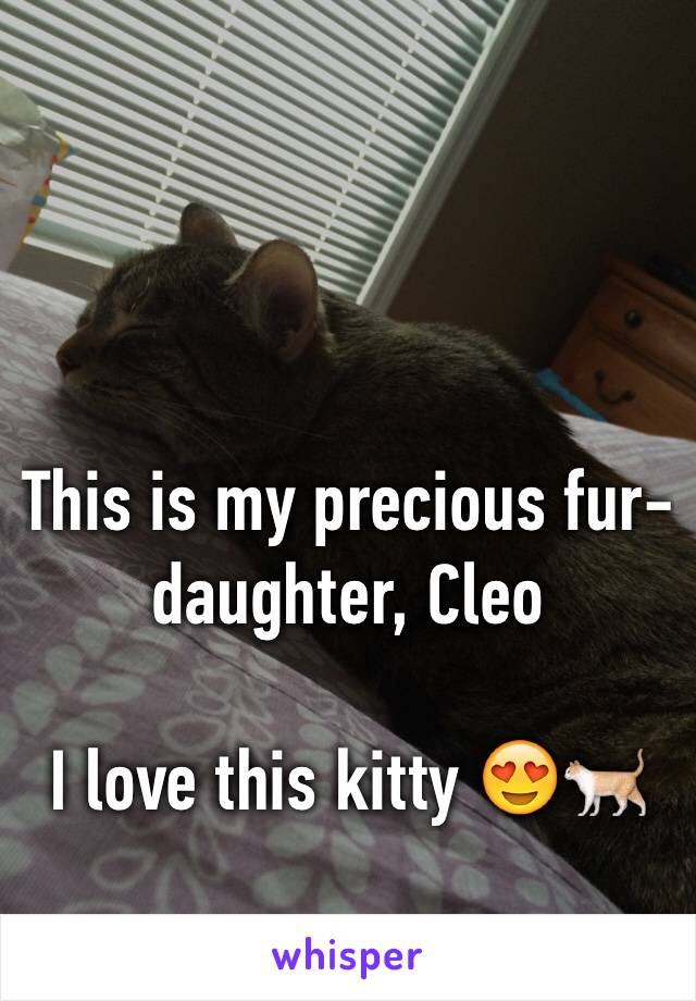 This is my precious fur-daughter, Cleo

I love this kitty 😍🐈