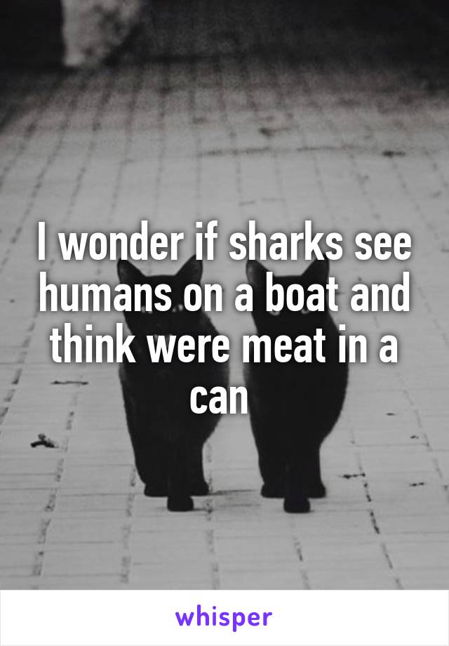 I wonder if sharks see humans on a boat and think were meat in a can 