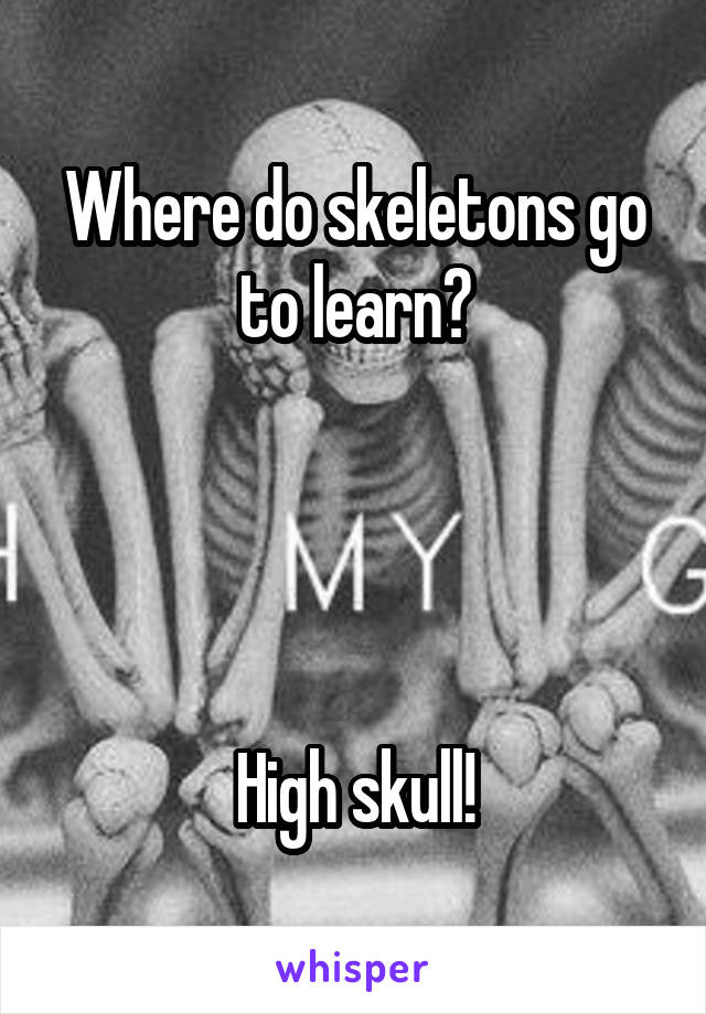 Where do skeletons go to learn?




High skull!