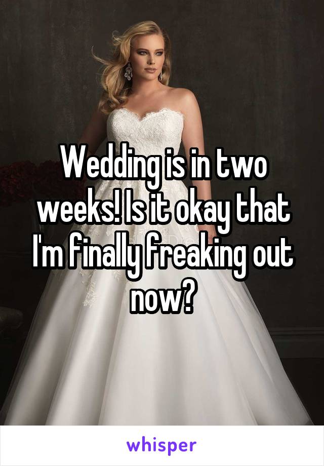 Wedding is in two weeks! Is it okay that I'm finally freaking out now?