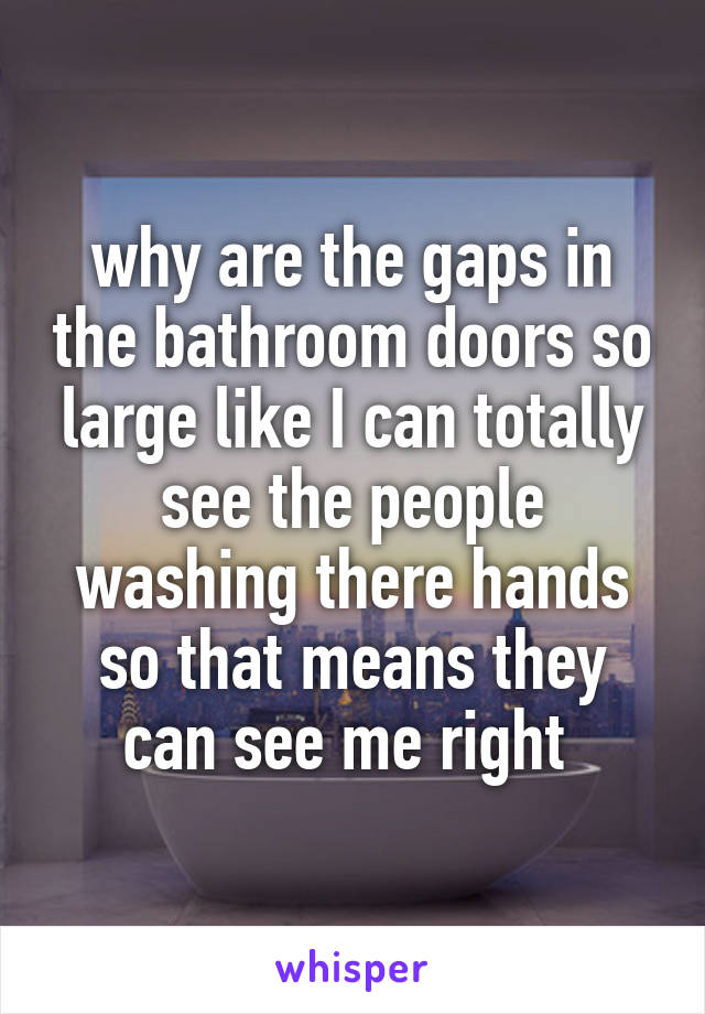 why are the gaps in the bathroom doors so large like I can totally see the people washing there hands so that means they can see me right 