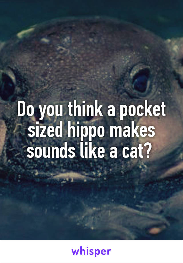 Do you think a pocket sized hippo makes sounds like a cat? 