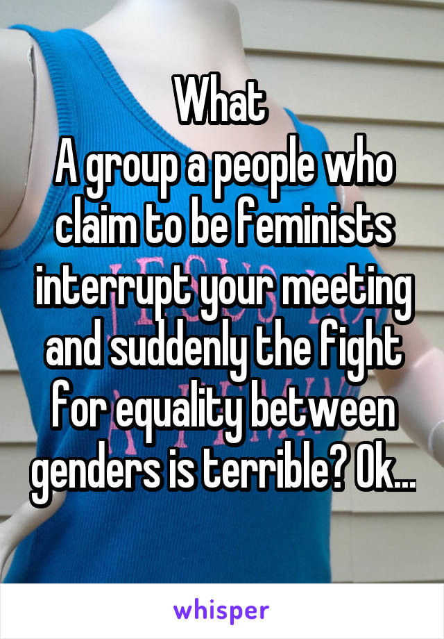 What 
A group a people who claim to be feminists interrupt your meeting and suddenly the fight for equality between genders is terrible? Ok...
