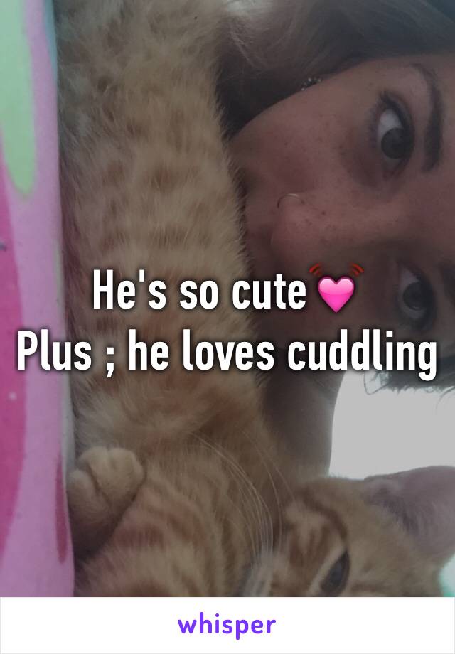 He's so cute💓
Plus ; he loves cuddling 