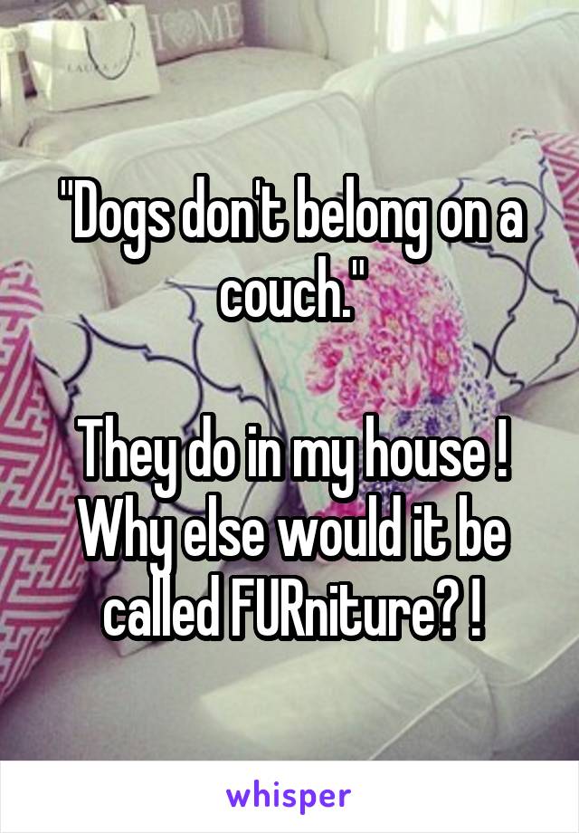 "Dogs don't belong on a couch."

They do in my house ! Why else would it be called FURniture? !