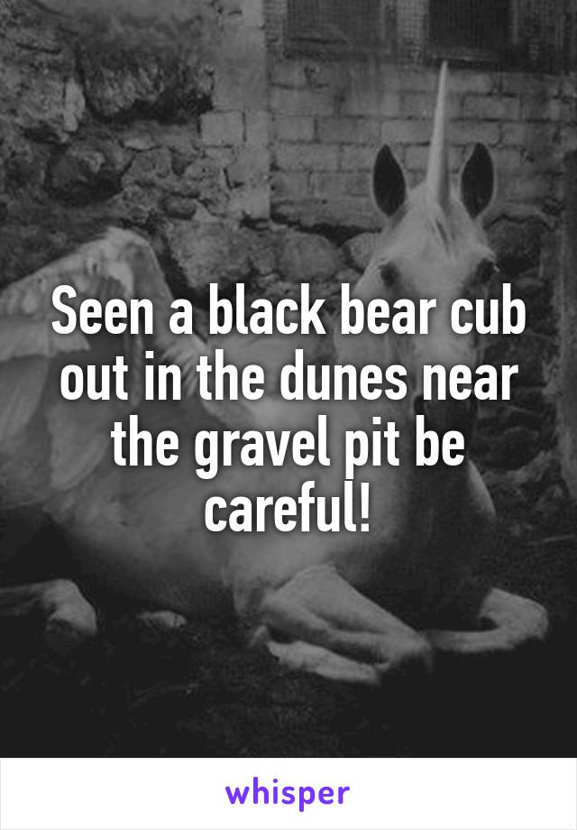 Seen a black bear cub out in the dunes near the gravel pit be careful!