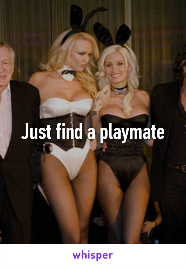 Just find a playmate