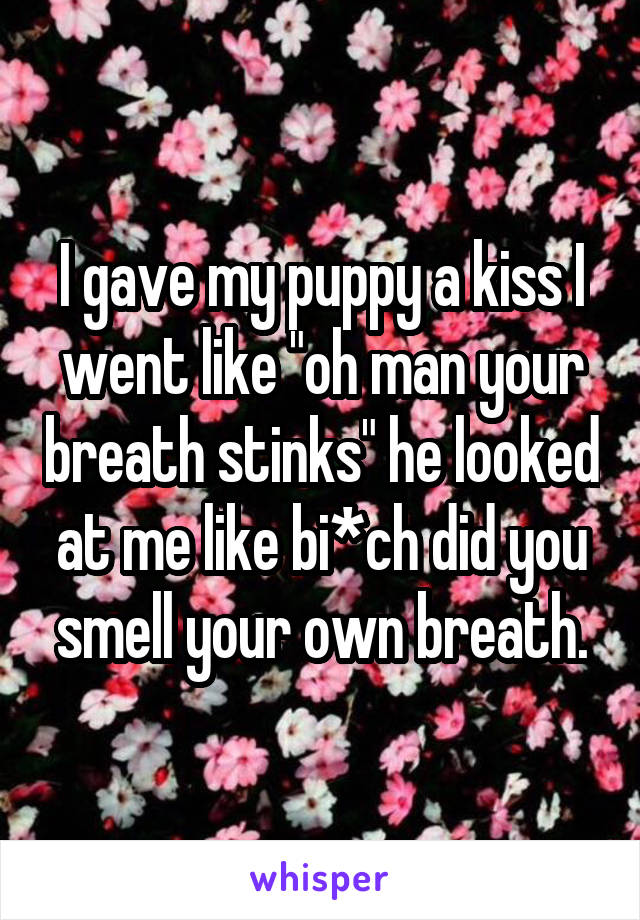 I gave my puppy a kiss I went like "oh man your breath stinks" he looked at me like bi*ch did you smell your own breath.