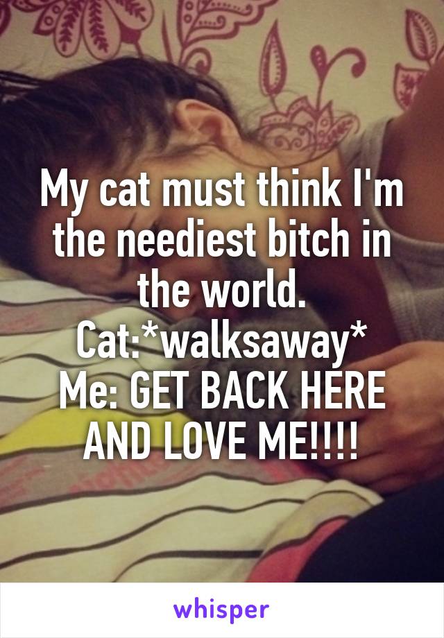 My cat must think I'm the neediest bitch in the world. Cat:*walksaway*
Me: GET BACK HERE AND LOVE ME!!!!