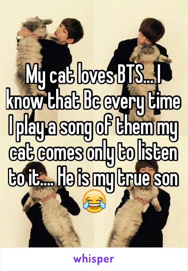 My cat loves BTS... I know that Bc every time I play a song of them my cat comes only to listen to it.... He is my true son 😂