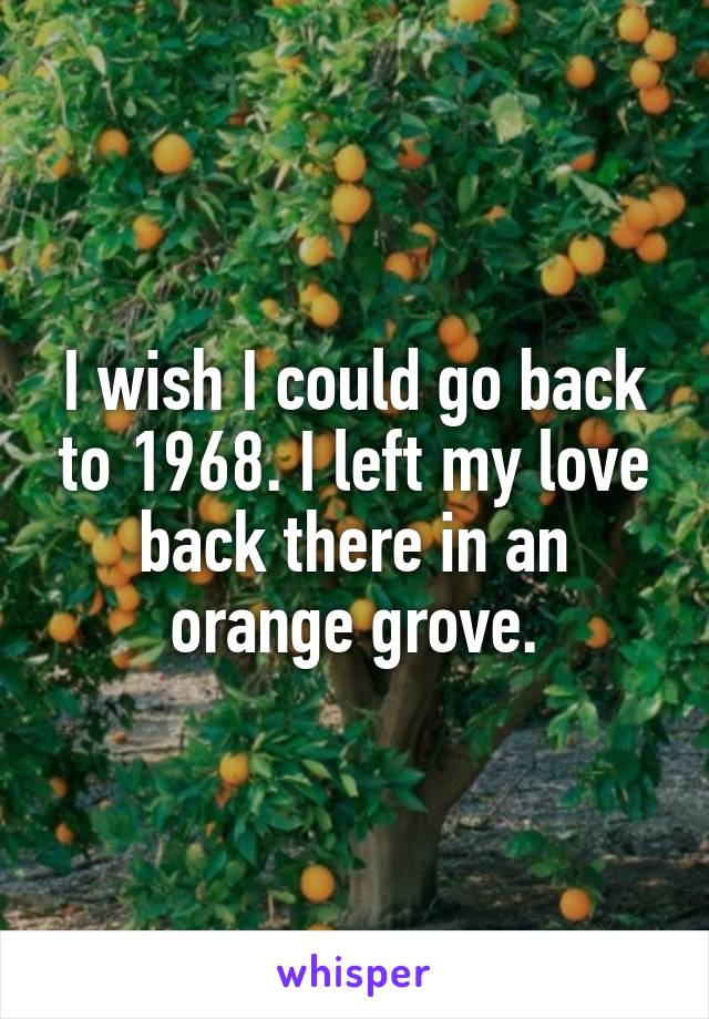 I wish I could go back to 1968. I left my love back there in an orange grove.