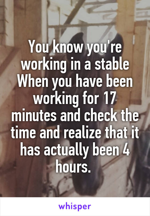 You know you're working in a stable When you have been working for 17 minutes and check the time and realize that it has actually been 4 hours. 