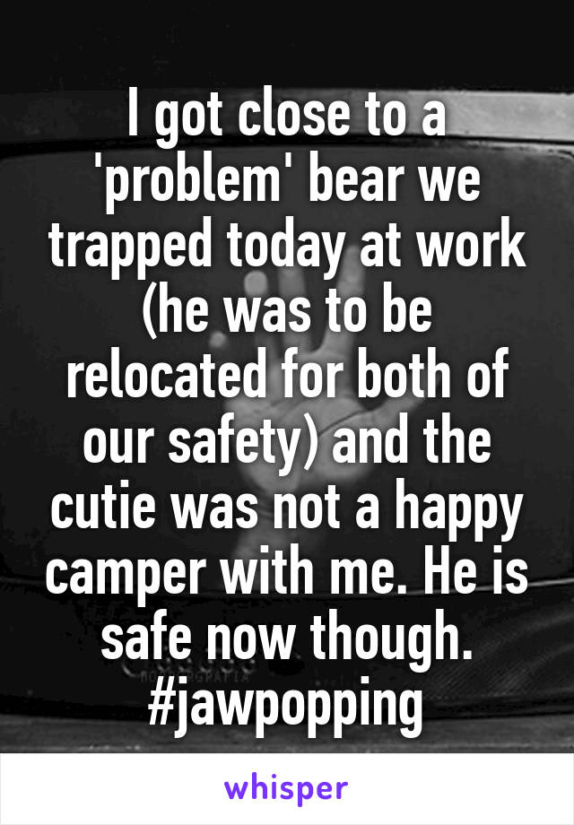 I got close to a 'problem' bear we trapped today at work (he was to be relocated for both of our safety) and the cutie was not a happy camper with me. He is safe now though. #jawpopping