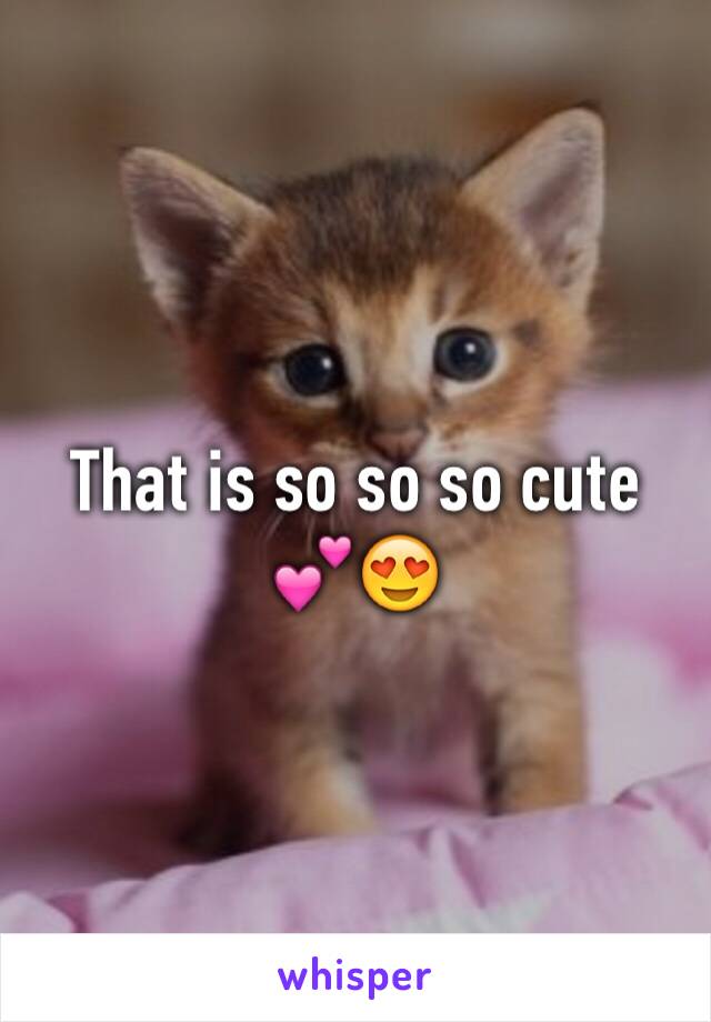That is so so so cute 💕😍