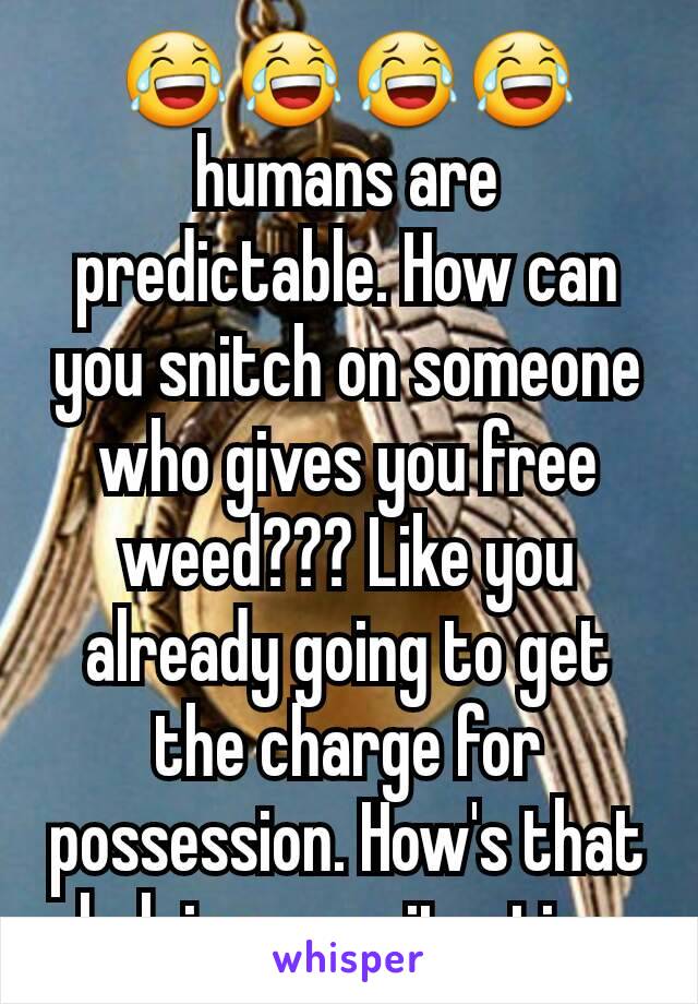 😂😂😂😂 humans are predictable. How can you snitch on someone who gives you free weed??? Like you already going to get the charge for possession. How's that helping you situation