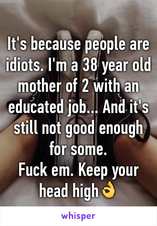 It's because people are idiots. I'm a 38 year old mother of 2 with an educated job... And it's still not good enough for some. 
Fuck em. Keep your head high👌