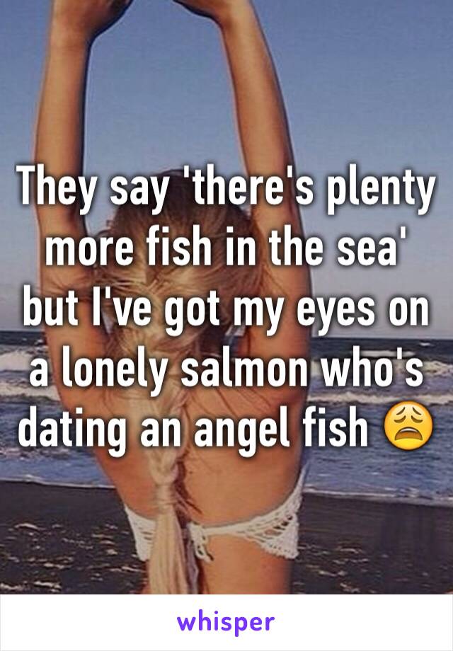 They say 'there's plenty more fish in the sea' but I've got my eyes on a lonely salmon who's dating an angel fish 😩