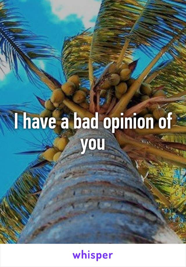 I have a bad opinion of you