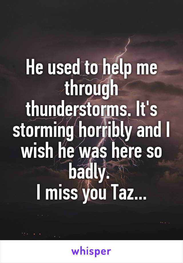 He used to help me through thunderstorms. It's storming horribly and I wish he was here so badly. 
I miss you Taz...