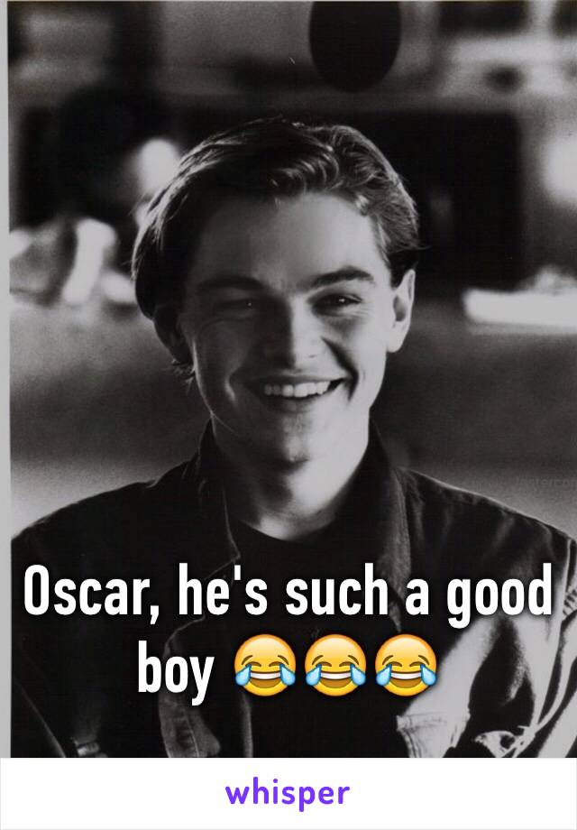 Oscar, he's such a good boy 😂😂😂