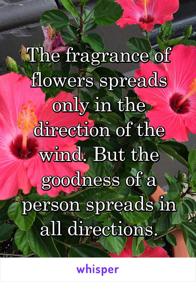 The fragrance of flowers spreads only in the direction of the wind. But the goodness of a person spreads in all directions.