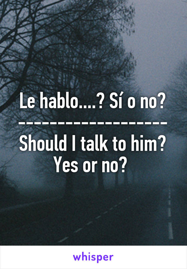 Le hablo....? Sí o no?
-------------------
Should I talk to him? Yes or no? 