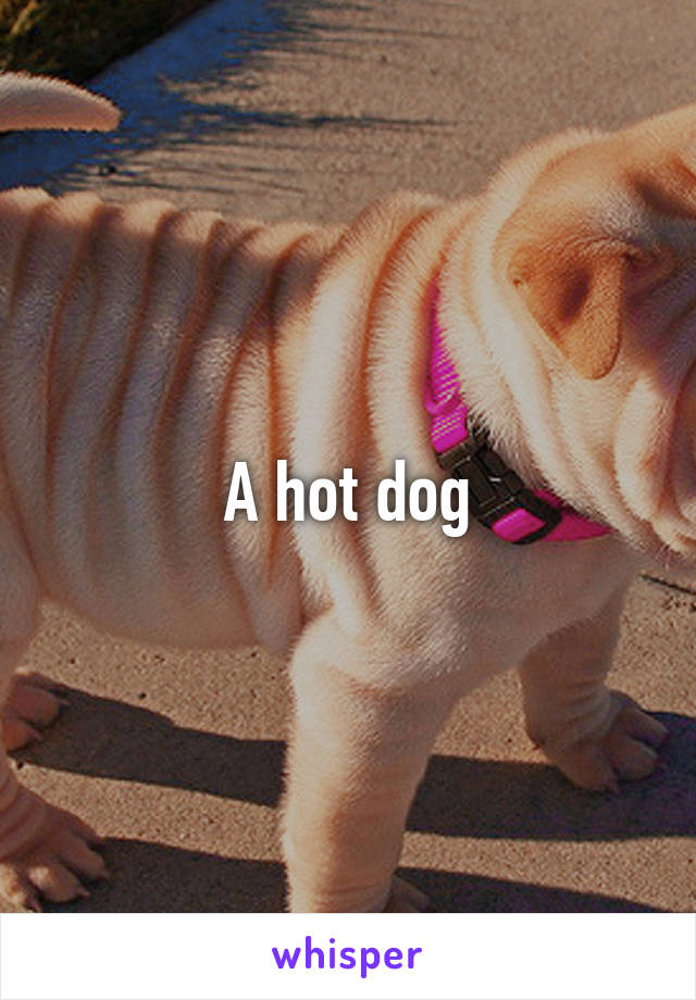 A hot dog