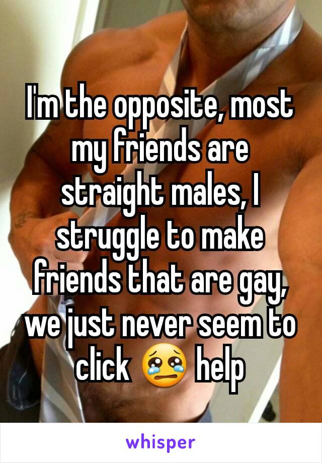 I'm the opposite, most my friends are straight males, I struggle to make friends that are gay, we just never seem to click 😢 help