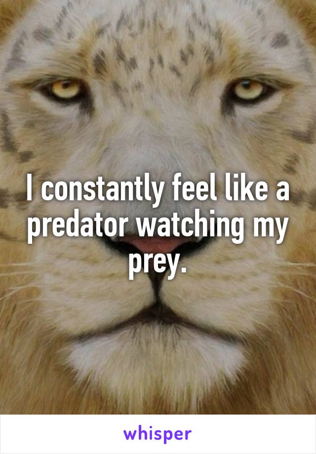 I constantly feel like a predator watching my prey.