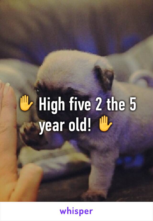 ✋ High five 2 the 5 year old! ✋