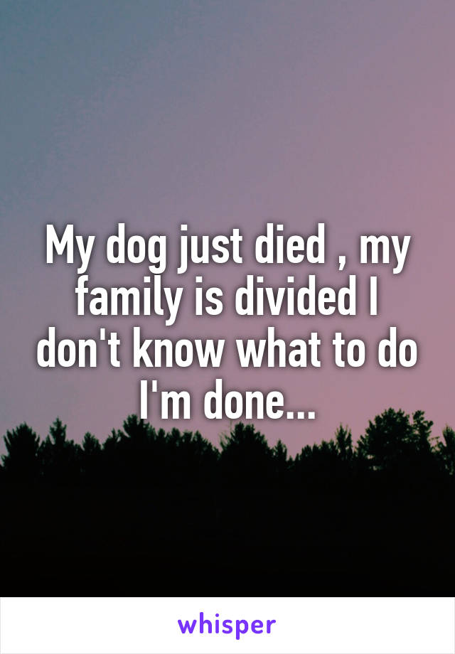 My dog just died , my family is divided I don't know what to do I'm done...