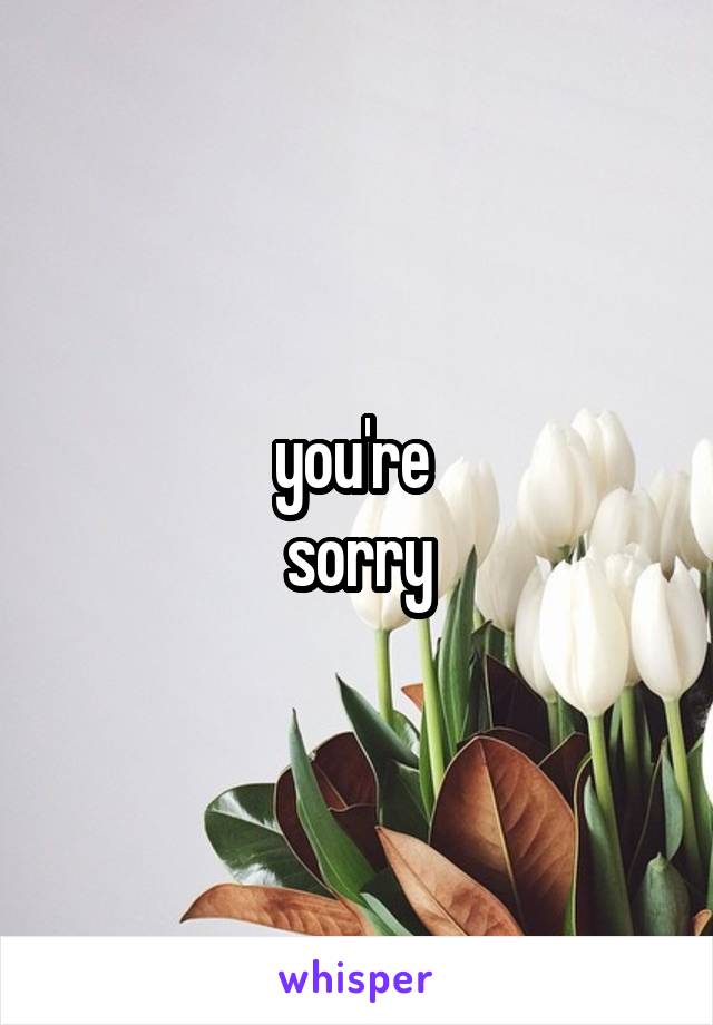 you're 
sorry