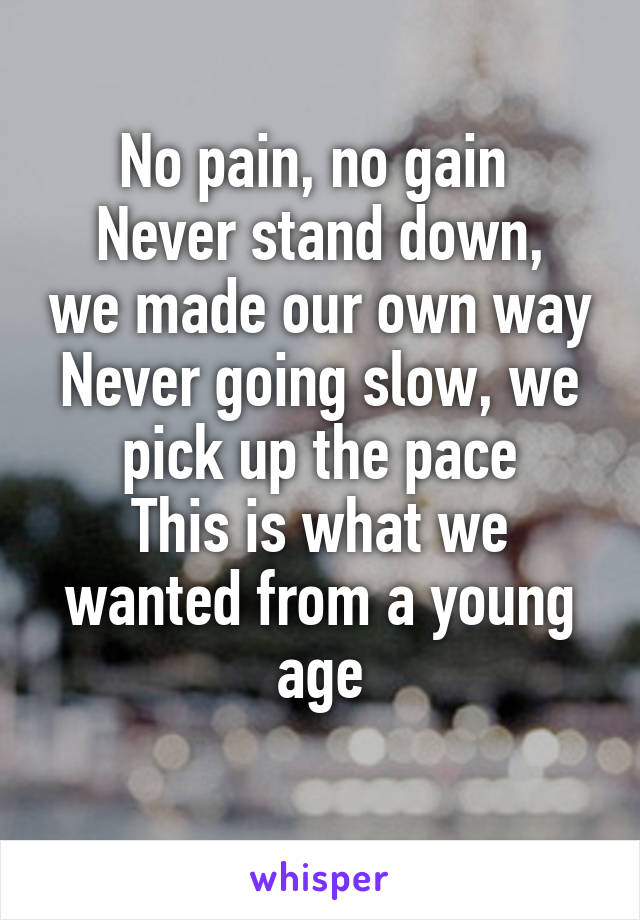 No pain, no gain 
Never stand down, we made our own way
Never going slow, we pick up the pace
This is what we wanted from a young age
