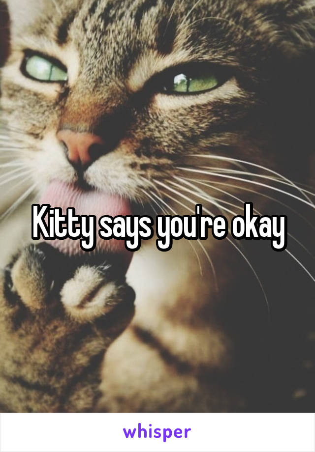 Kitty says you're okay