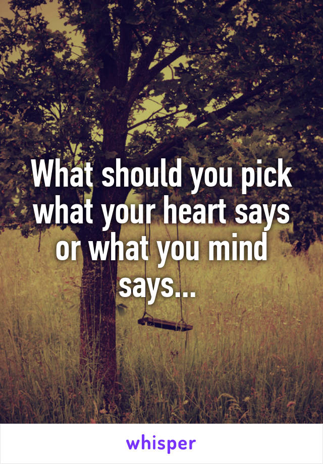 What should you pick what your heart says or what you mind says... 