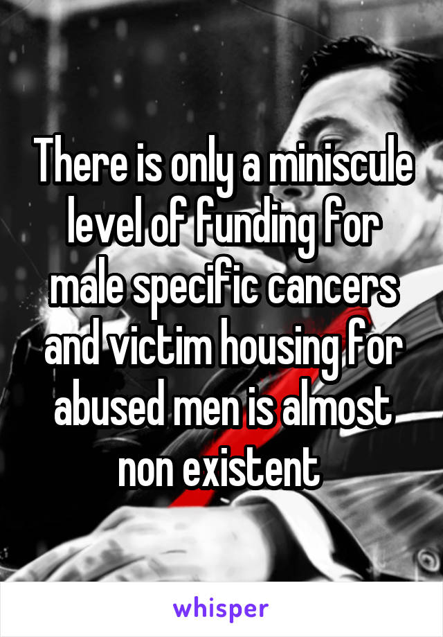 There is only a miniscule level of funding for male specific cancers and victim housing for abused men is almost non existent 