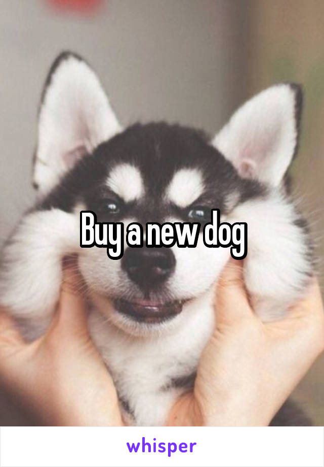 Buy a new dog