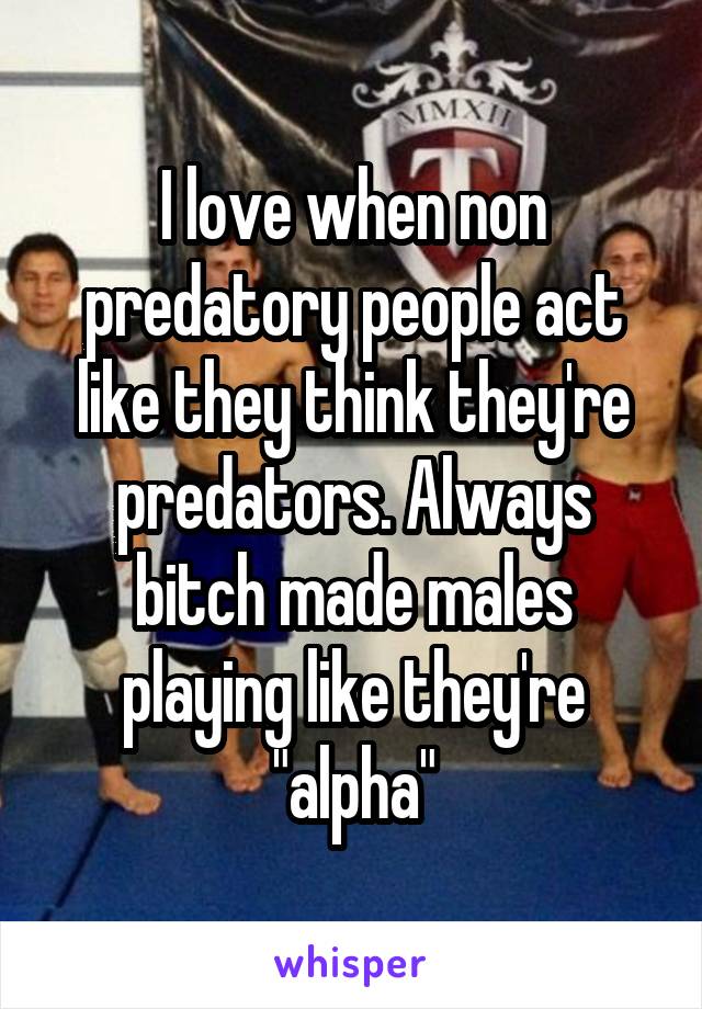 I love when non predatory people act like they think they're predators. Always bitch made males playing like they're "alpha"