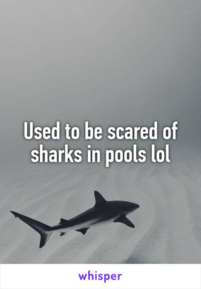 Used to be scared of sharks in pools lol