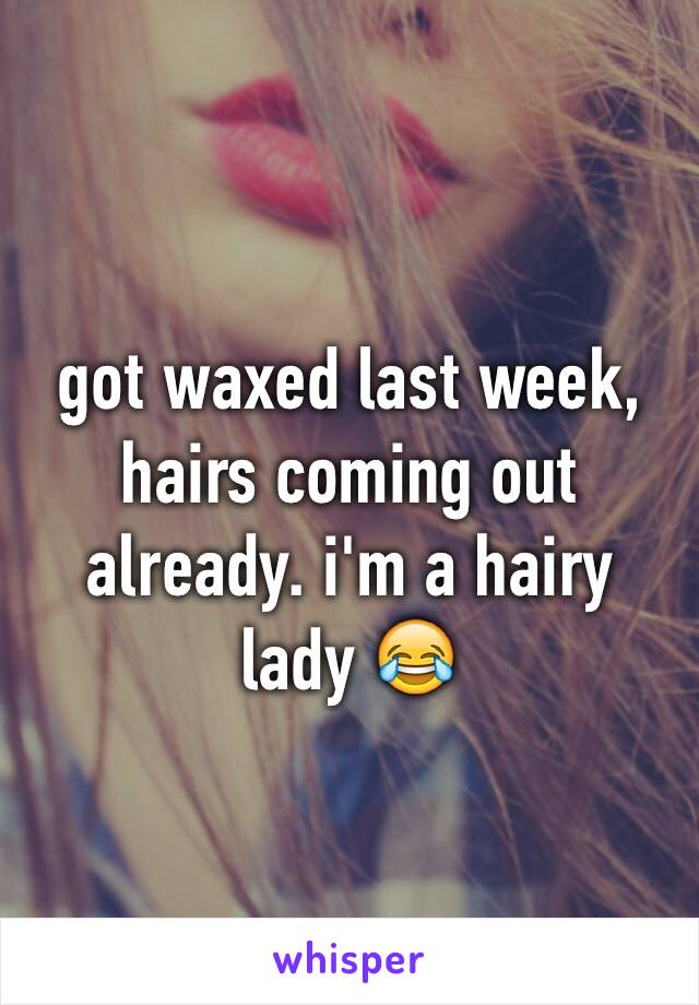 got waxed last week, hairs coming out already. i'm a hairy lady 😂